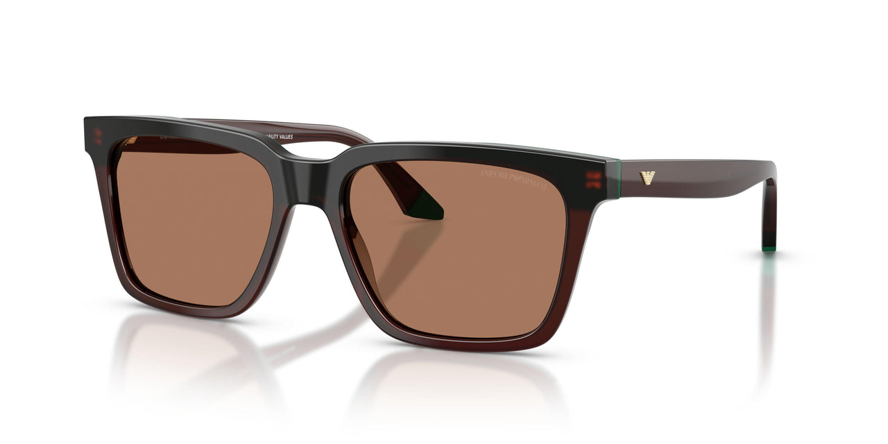 631573 - Brown - Brown