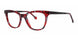 BRGNDTRTSBLCK - Burgundy Tortoise/Black