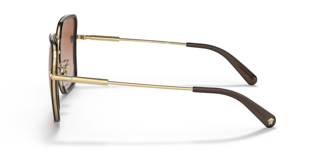 148213 - Brown - Brown Gradient