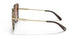 148213 - Brown - Brown Gradient