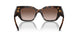 W65613 - Brown - Gradient Brown