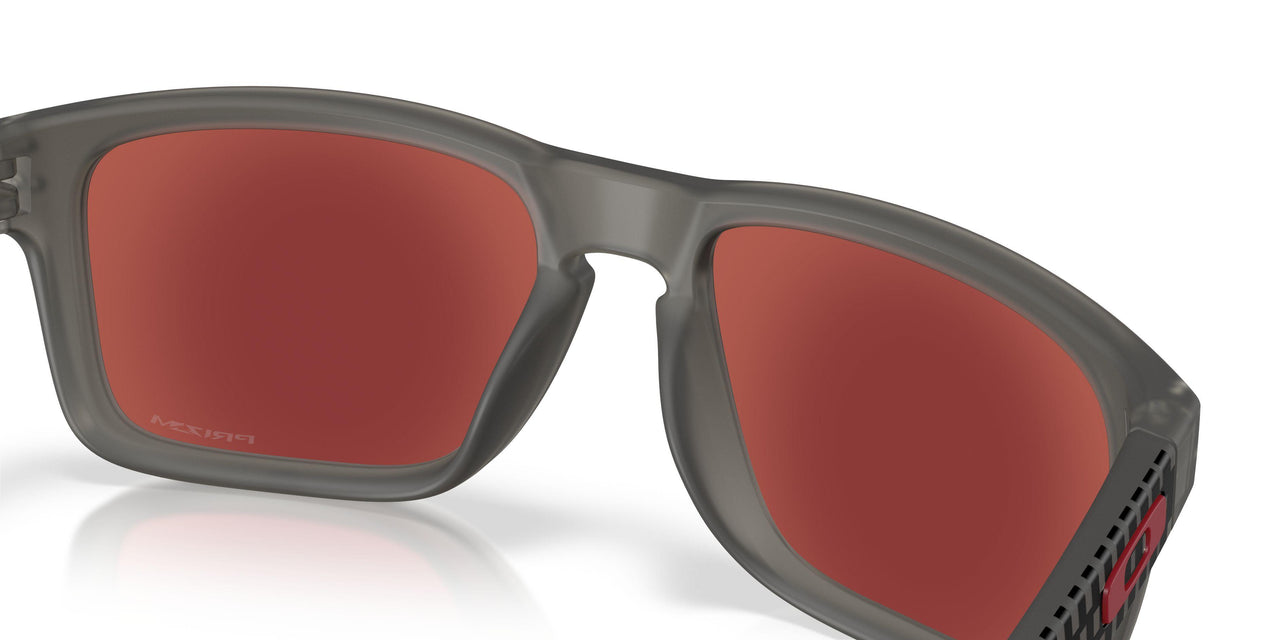 924486 - Grey - Prizm Snow Black Iridium