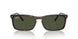 902/31 - Tortoise - Green