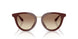 639913 - Violet - Brown Gradient