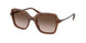 106713 - Brown - Brown Gradient