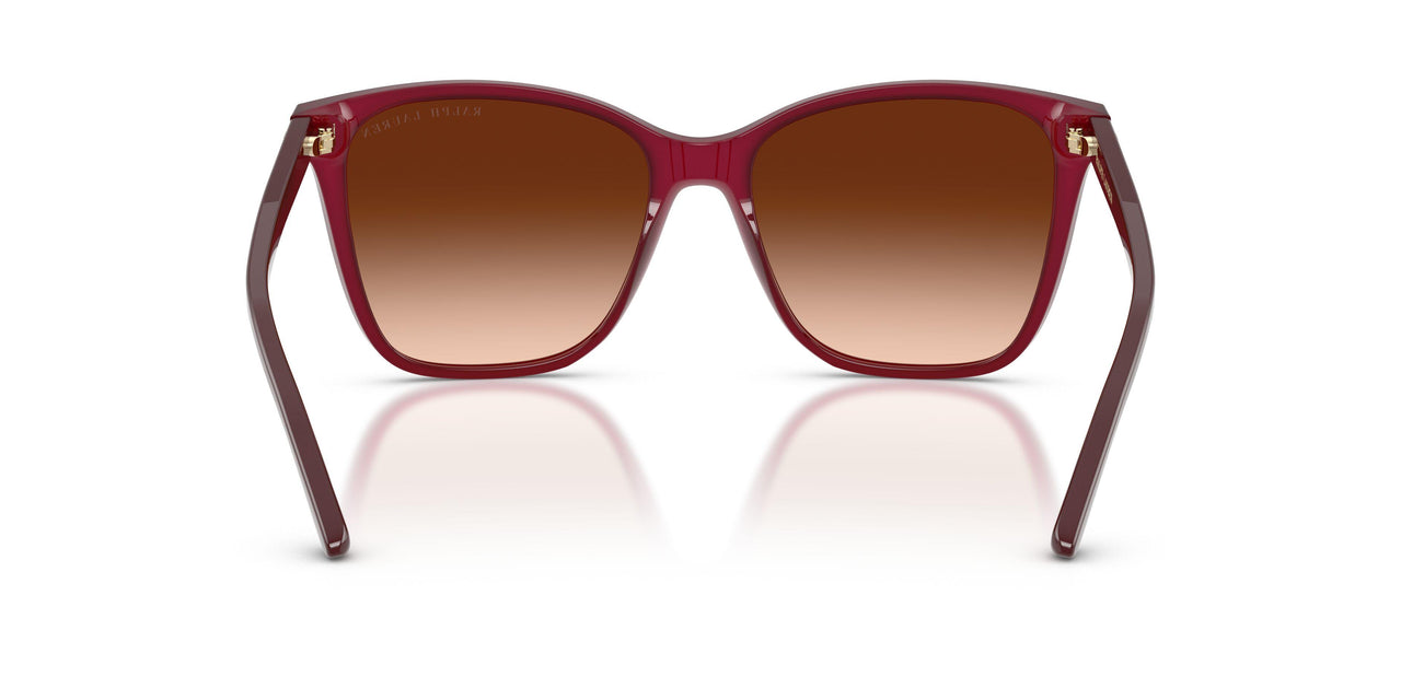 591274 - Violet - Gradient Brown