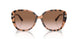 344913 - Tortoise - Brown Pink Gradient