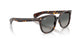 902/71 - Tortoise - Light Grey Gradient Dark Grey