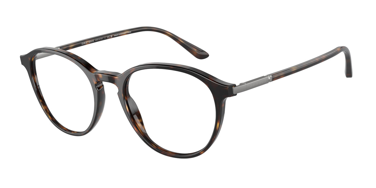5026 - Tortoise