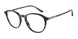 5026 - Tortoise