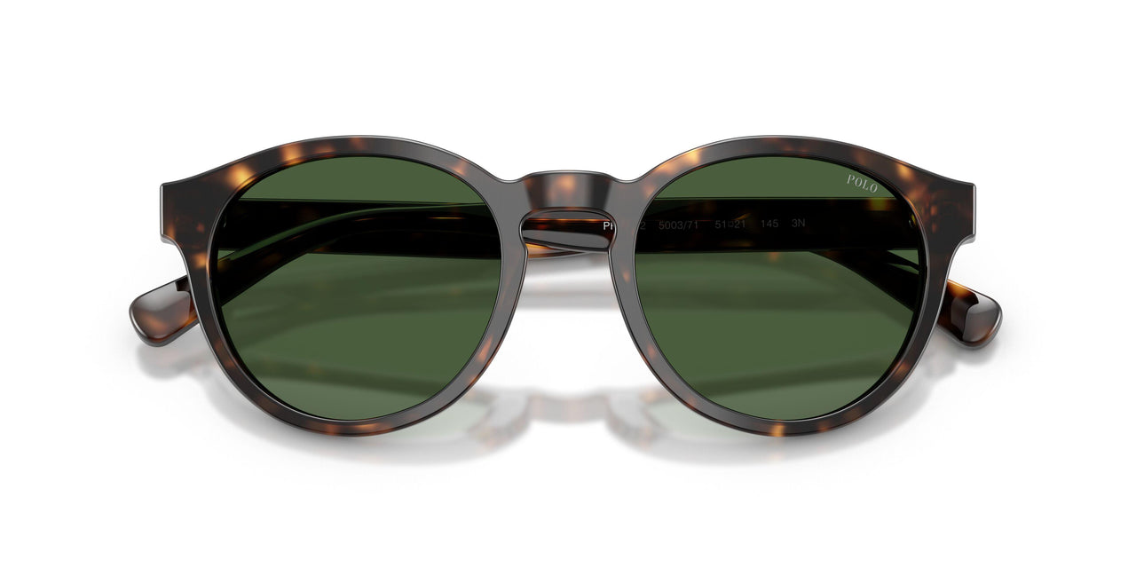 500371 - Tortoise - Bottle Green