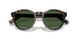 500371 - Tortoise - Bottle Green