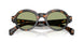 300682 - Tortoise - Green