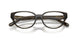 5400SB - Brown - Clear
