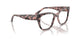 3150 - Tortoise