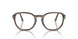 1208 - Tortoise - Clear