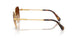 400774 - Yellow - Green Gradient Brown