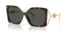 108/87 - Tortoise - Dark Grey