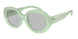 Emporio Armani 4231U Sunglasses