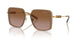 100213 - Brown - Brown Gradient