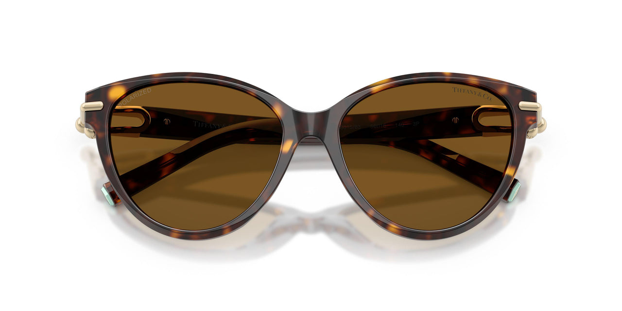 801583 - Tortoise - Dark Brown Polar