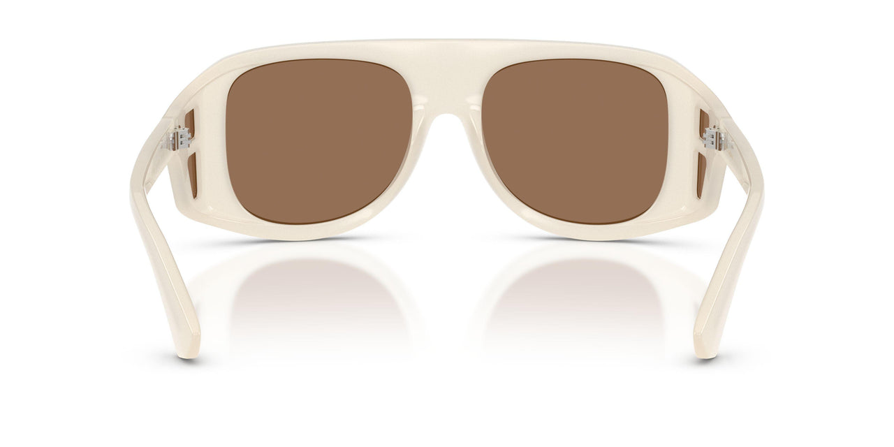 303973 - White - Dark Brown