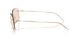300273 - Gold - Light Brown