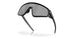 940401 - Black - Prizm Black