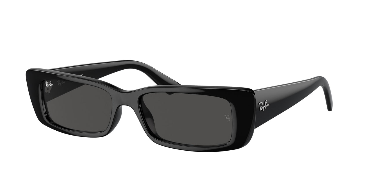 Ray-Ban Teru 4425F Sunglasses
