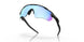 920851 - Matte Black - Prizm Black Polarized