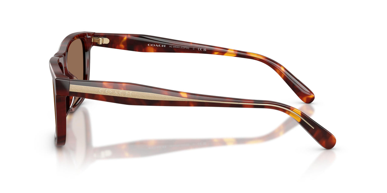593813 - Tortoise - Brown Solid