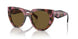 18N01T - Brown - Dark Brown