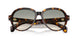 30022A - Tortoise - Light Brown Grad Light Green