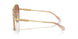 100213 - Brown - Pink Gradient