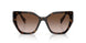 2AU6S1 - Havana - Brown Gradient