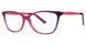 FCHSPLM - Fuchsia/Plum