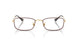 3177 - Tortoise - Clear