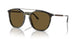 603873 - Green - Dark Brown