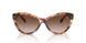 605413 - Tortoise - Gradient Brown