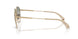 10242C - Gold - Gradient Brown