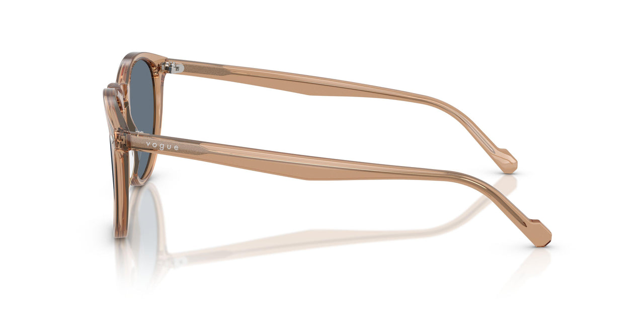 31894Y - Brown - Blue Polar