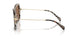 395173 - Tortoise - Brown Solid
