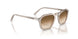 124051 - Grey - Clear Gradient Brown