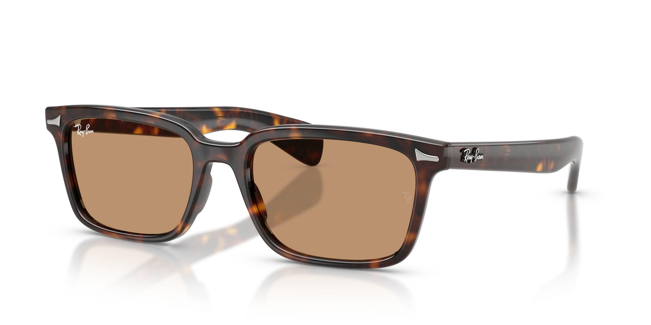 902/53 - Tortoise - Brown