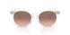 301513 - Transparent - Pink Gradient Dark Brown