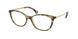 Ralph 7114 Eyeglasses