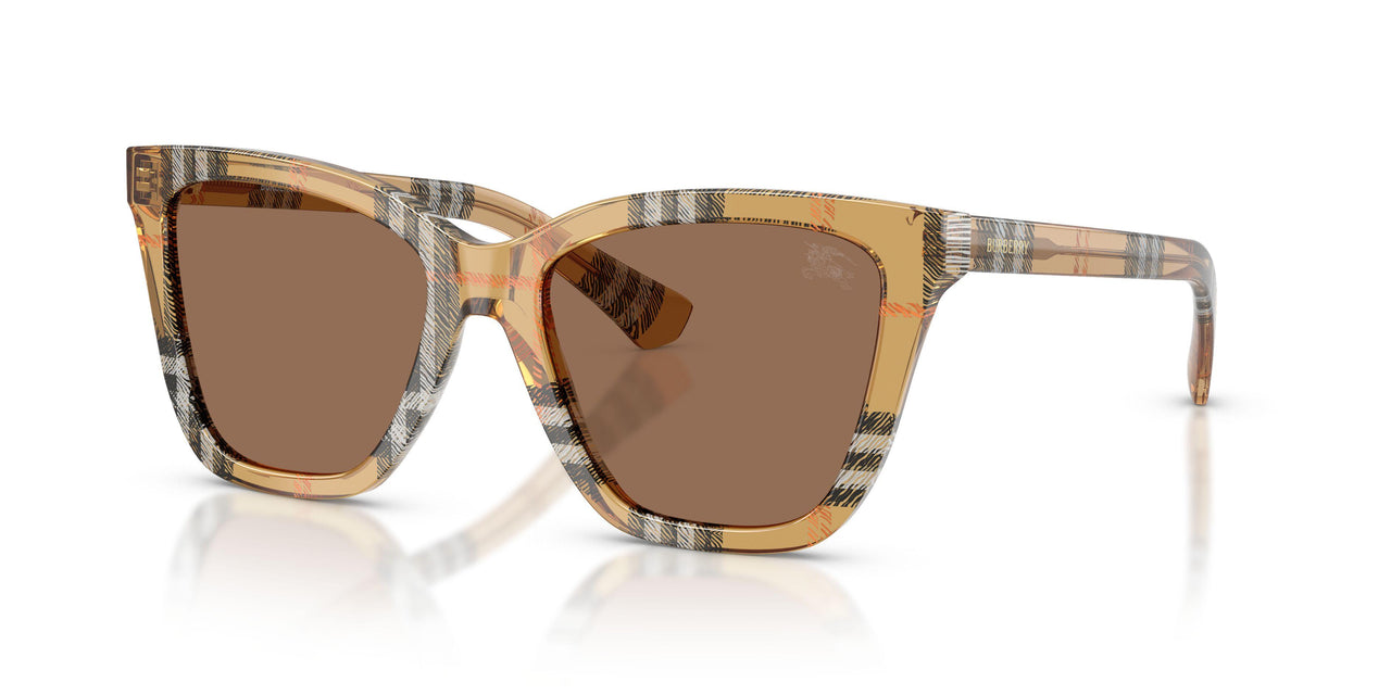 416373 - Brown - Dark Brown