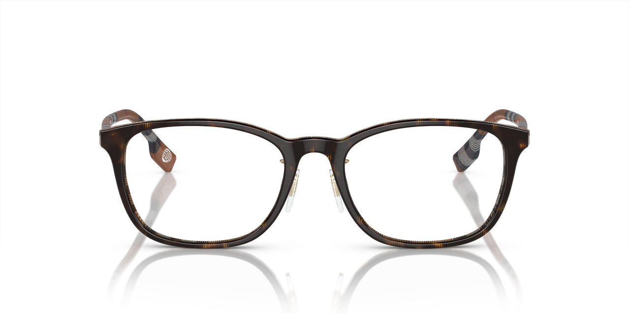 4102 - Tortoise