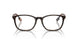 4102 - Tortoise