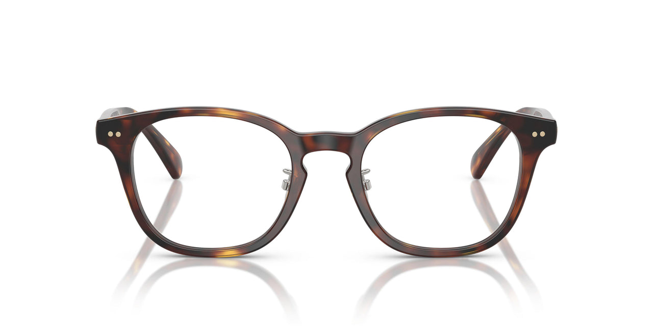 6137 - Tortoise